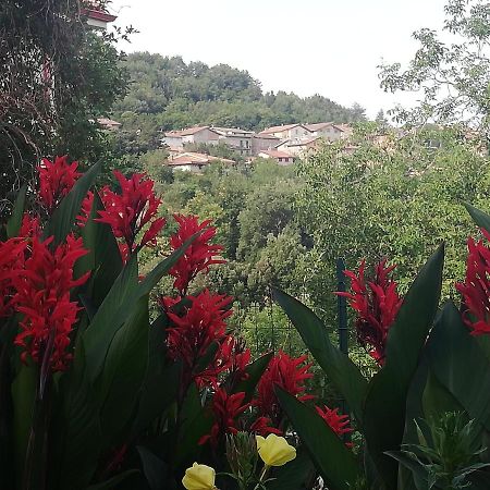 Agrifoglio B&B Con Giardino 阿瑞佐 外观 照片