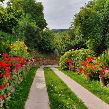 Agrifoglio B&B Con Giardino 阿瑞佐 外观 照片