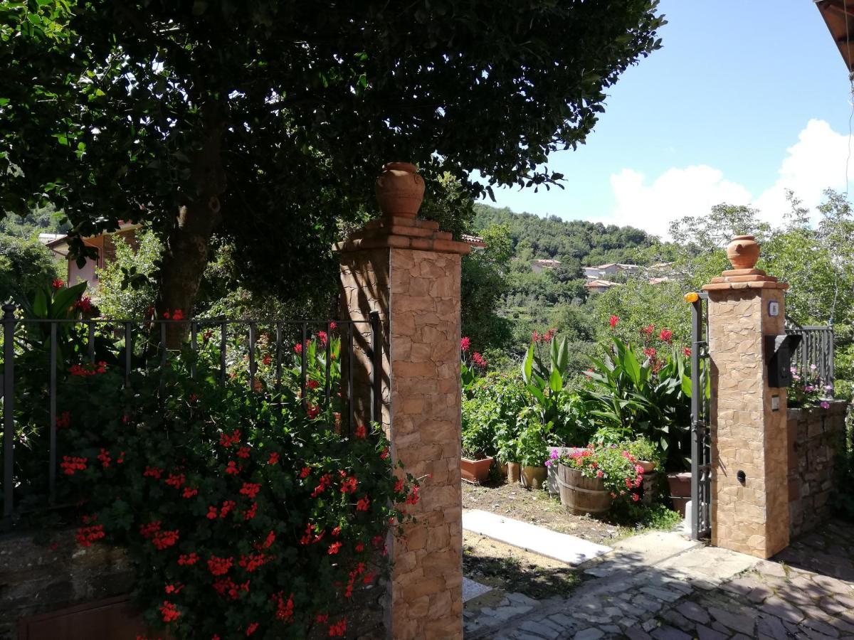 Agrifoglio B&B Con Giardino 阿瑞佐 外观 照片