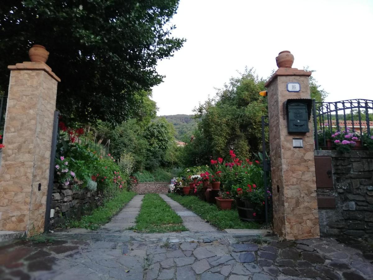Agrifoglio B&B Con Giardino 阿瑞佐 外观 照片