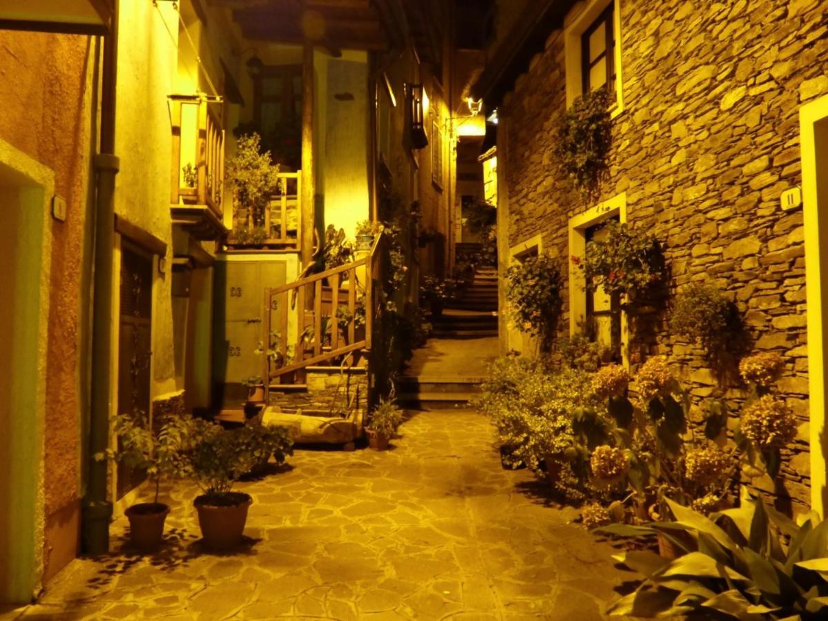 Agrifoglio B&B Con Giardino 阿瑞佐 外观 照片