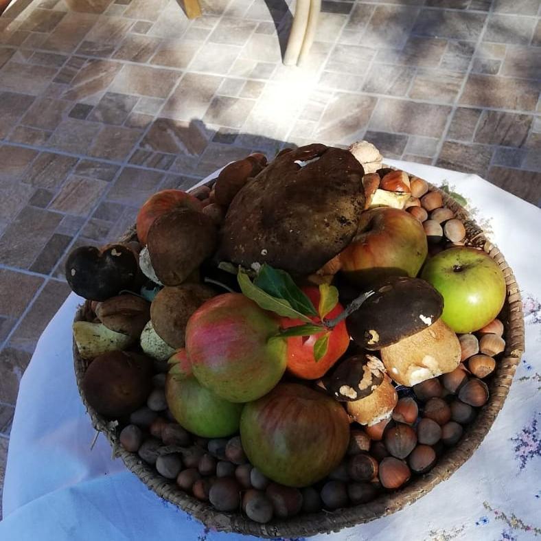 Agrifoglio B&B Con Giardino 阿瑞佐 外观 照片