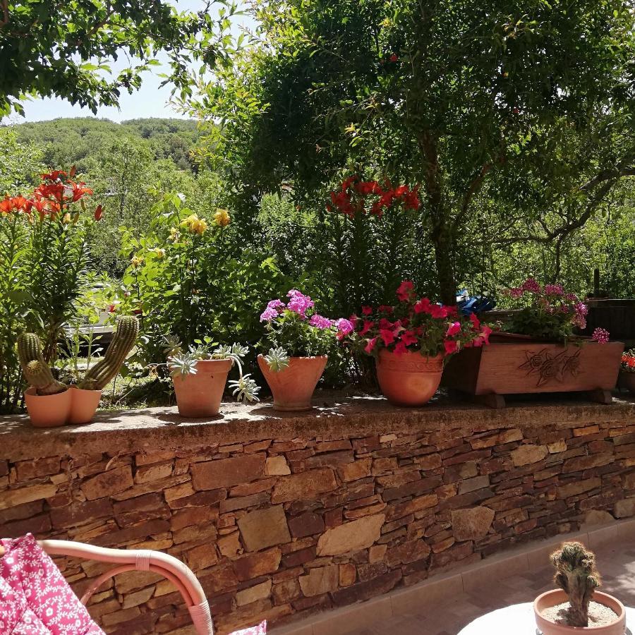 Agrifoglio B&B Con Giardino 阿瑞佐 外观 照片