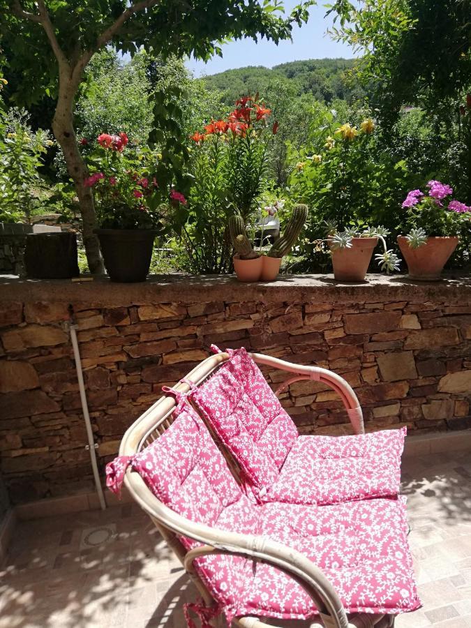 Agrifoglio B&B Con Giardino 阿瑞佐 外观 照片