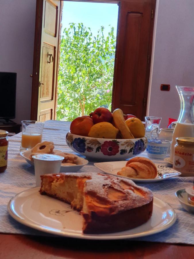 Agrifoglio B&B Con Giardino 阿瑞佐 外观 照片
