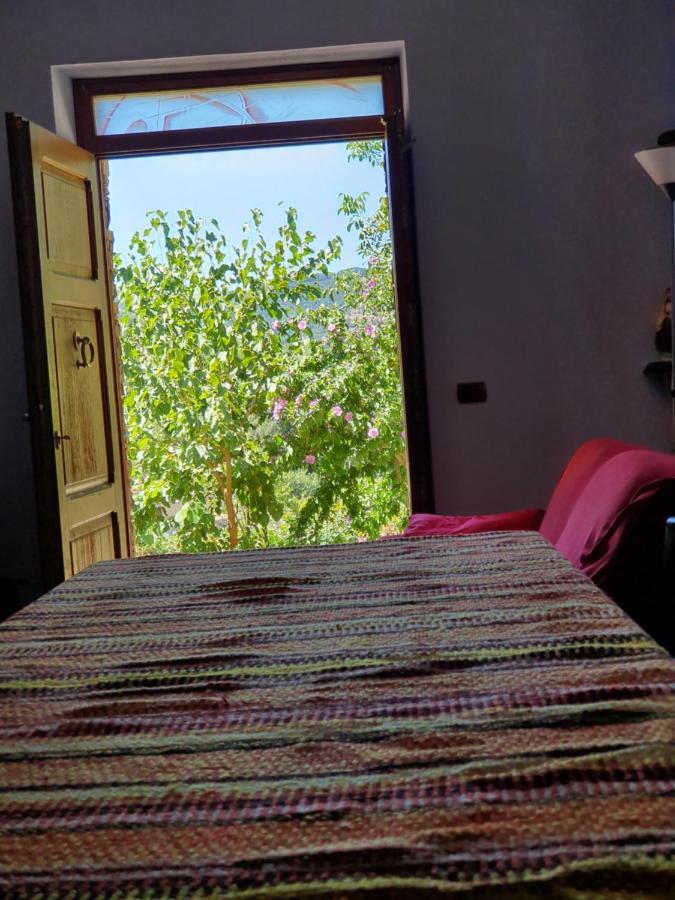 Agrifoglio B&B Con Giardino 阿瑞佐 外观 照片