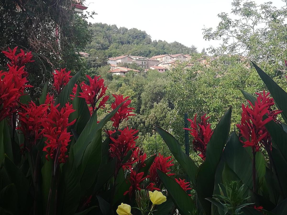 Agrifoglio B&B Con Giardino 阿瑞佐 外观 照片