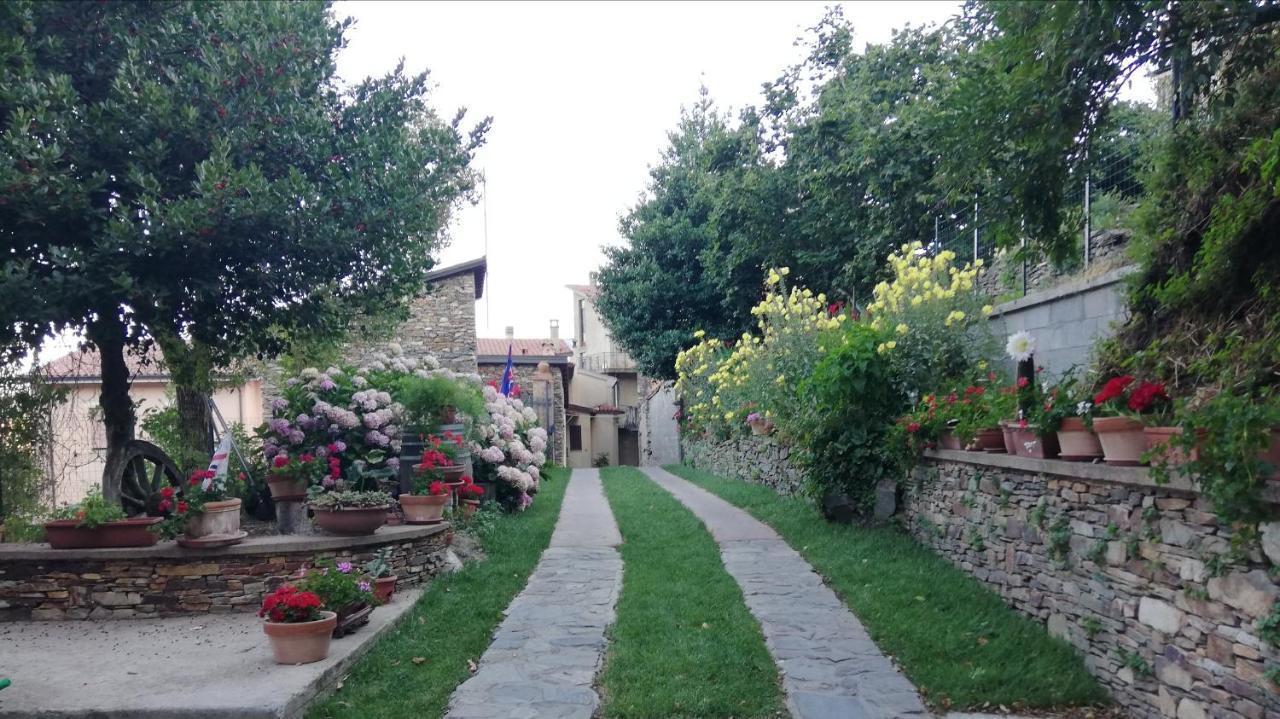 Agrifoglio B&B Con Giardino 阿瑞佐 外观 照片