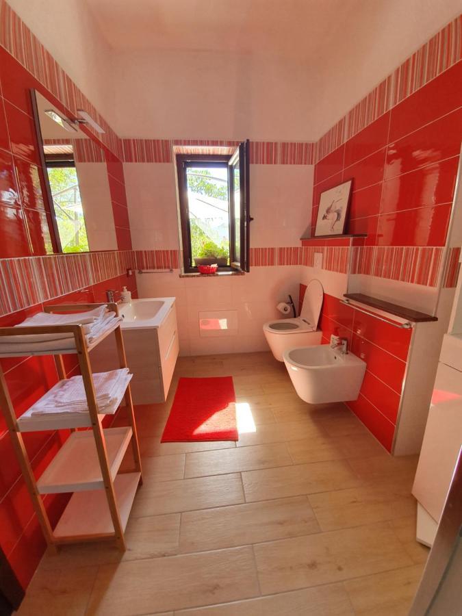 Agrifoglio B&B Con Giardino 阿瑞佐 外观 照片