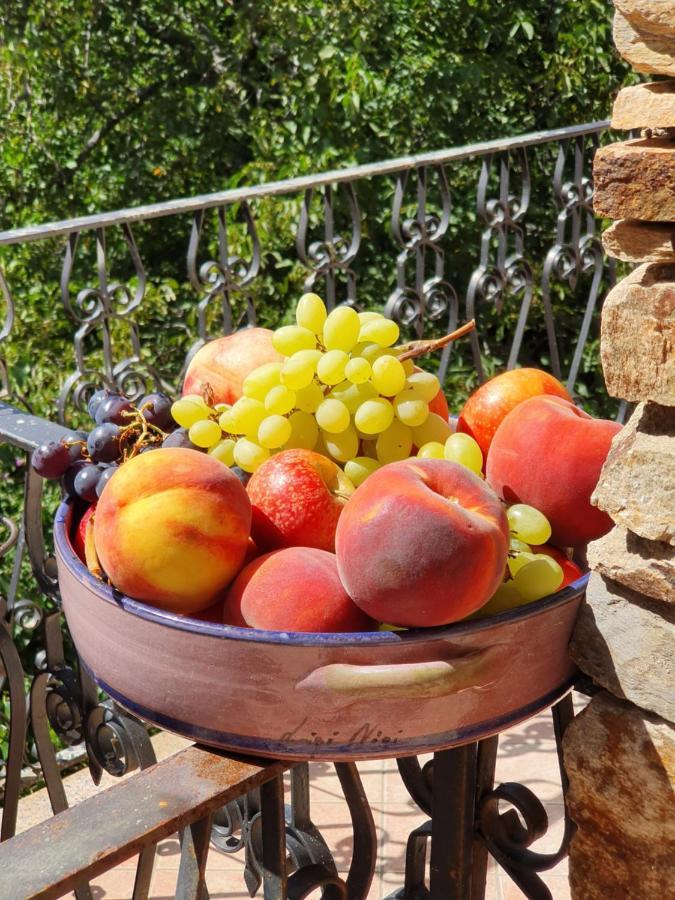 Agrifoglio B&B Con Giardino 阿瑞佐 外观 照片