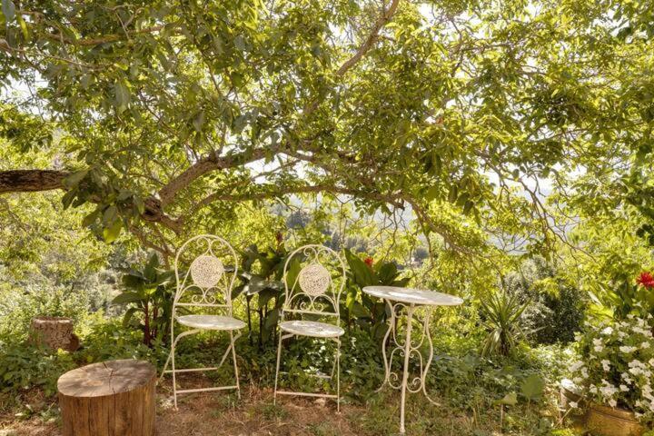 Agrifoglio B&B Con Giardino 阿瑞佐 外观 照片
