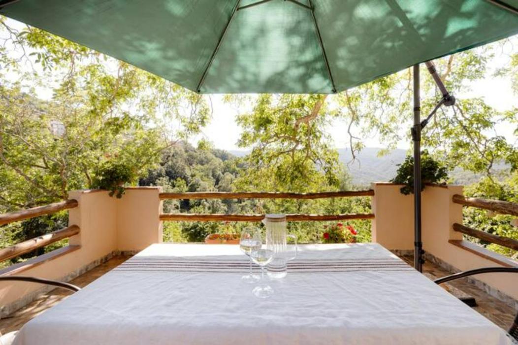 Agrifoglio B&B Con Giardino 阿瑞佐 外观 照片