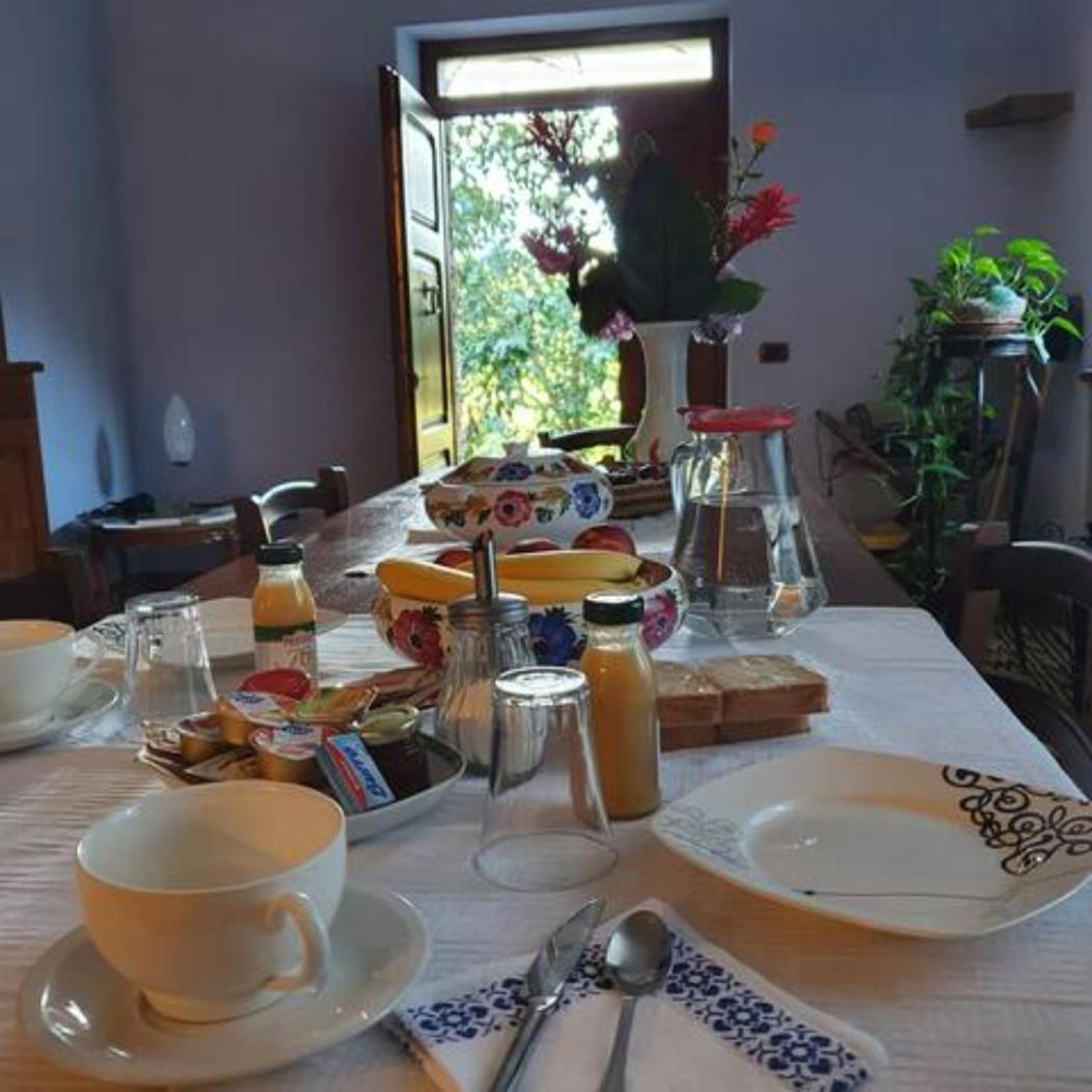 Agrifoglio B&B Con Giardino 阿瑞佐 外观 照片
