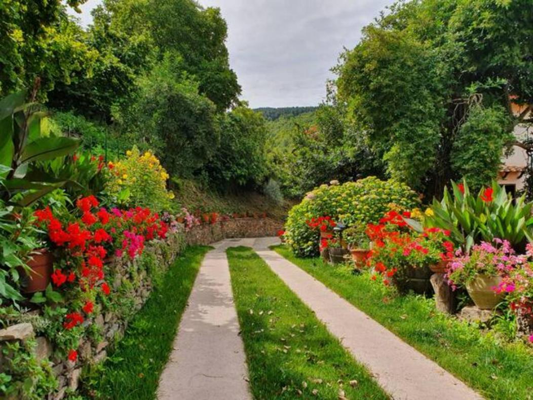 Agrifoglio B&B Con Giardino 阿瑞佐 外观 照片